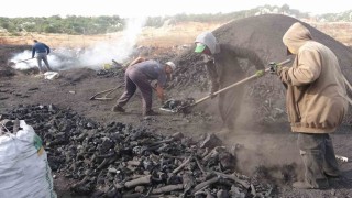 Torosların eteğinde zorlu kömür mesaisi