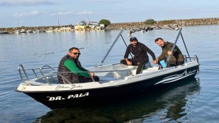 Trabzon kıyılarında köpek balığı hareketliliği arttı