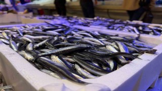 Trabzondan gelen taze balıklar Erzincanda ilgi görüyor