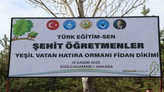 Türk Eğitim-Sen Genel Başkanı Geylan: Maalesef her yıl on binlerce hektarımız yanıyor