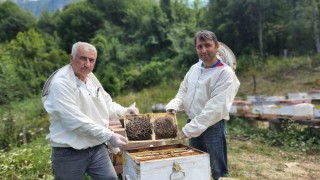 Türkiyenin AB tescilli 43üncü ürünü Yenice ıhlamur balı oldu