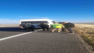 Tutakta trafik kazası; biri ağır üç yaralı