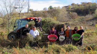 Üreticiden ihtiyaç sahiplerine uzanan dayanışma ağı
