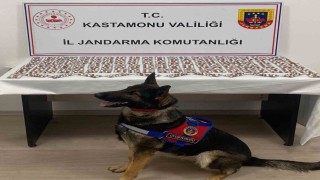 Uyuşturucuyla yakalanan şahıs utuklandı