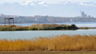 Van Gölü Havzası, Türkiyenin en fazla sulak alanına ev sahipliği yapıyor