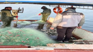 Van Gölünde balıkçılık denetimi yapıldı