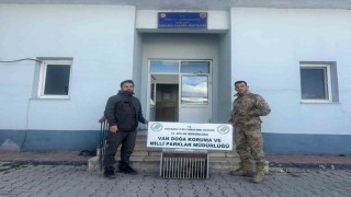 Vanda kafes avcısına 29 bin 140 lira  caza