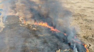 Vanda sazlık yangını