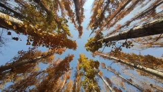 Vanın sonbahar güzelliği: Van Kalesi ve Atatürk Kültür Parkı ziyaretçilerin gözdesi oldu