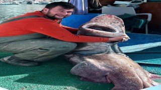 Yalova açıklarında 4 metre uzunluğunda köpek balığı ağa takıldı