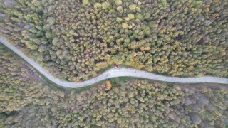 Yalova ormanlarında sonbahar güzelliği