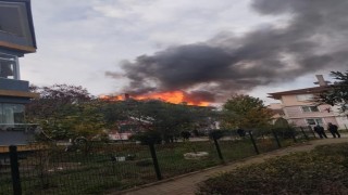 Yalovada çatı yangını