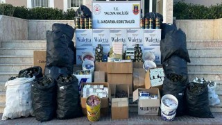 Yalovada jandarmadan kaçak tütün operasyonu
