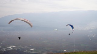 Yanan ormanlar için gökyüzünden paraşütle tohum yağdı
