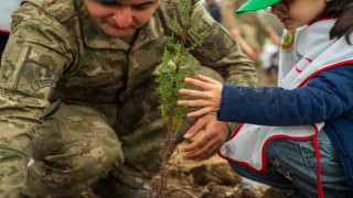 Yangında küle dönen ormanları minik eller yeşertecek