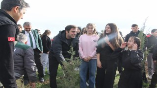 Yangında küle dönen ormanlık alanda fidan diktiler