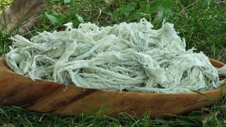 Yayladan sofraya doğal antibiyotik: Erzurumun göğermiş peyniri