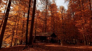Yedigöller Milli Parkı ziyaretçi akınına uğradı