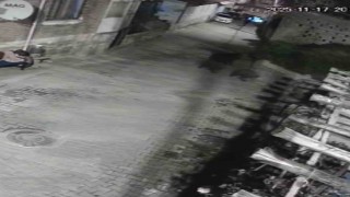 Yerleşim alanına inen ayılar köy sakininden korkup kaçtı