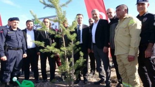 Yeşil Vatan Şehidi Bayram Eren Arslan adına Sorgunda hatıra ormanı oluşturuldu