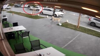 Yolun karşısına geçmek isteyen bisikletliye otomobil çarptı: 1 yaralı