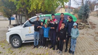 Yozgatta bulunan yaralı kızıl şahin çocukların ilgi odağı oldu