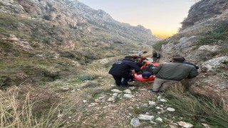 Yürüyüş esnasında kayalıklardan düşen şahıs yaralandı
