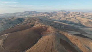 Yüzlerce ağacın kesilmesine vatandaşlardan tepki: 40 yılda büyüdü, 4 gün de yok edildi