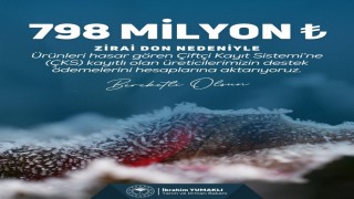 Zirai don nedeniyle ürünleri hasar gören çiftçilere 798 milyon lira destek ödemesi yapıldı