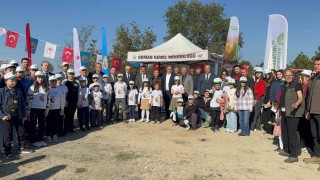 Zonguldakta fidan diktiler