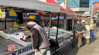 Zonguldakta hamsi azaldı, fiyatlar yeniden yükselişte