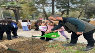 Zonguldakta ilkokul öğrencileri fidan dikti
