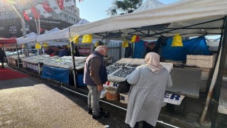 Zonguldakta tezgahtaki hamsi yerini diğer çeşit balıklara bırakıyor