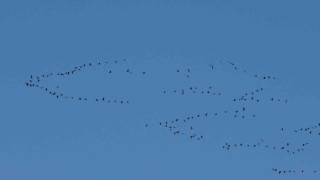 Zorlu göçün durağı Erçek Gölü