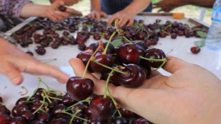 15 Aralıkta okullarda Coğrafi İşaret Günü kutlanacak