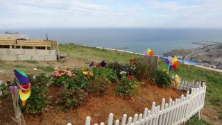 6 bin kişilik mezar yeri için talep oranı yüzde 95e ulaştı