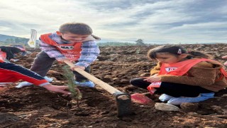 81 İlde 81 Orman projesi Muğla ile devam ediyor