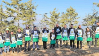 Adanada bir yılda 50 ton sedir tohumu toprakla buluştu
