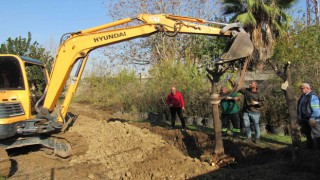 Adana’da Kavşak Düzenlemeleri Kapsamında Ağaçlar Naklediliyor
