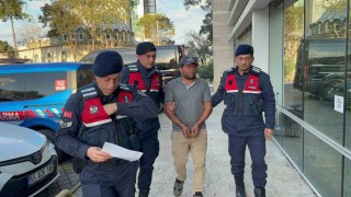 Ağaç kesimi sırasında komşusunun ölümüne sebep olan şahıs tutuklandı