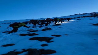 Ağrı Dağında kar altında zorlu tırmanış başladı