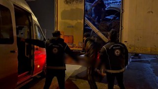 Ağrıda tır dorsesinde 14 düzensiz göçmen yakalandı