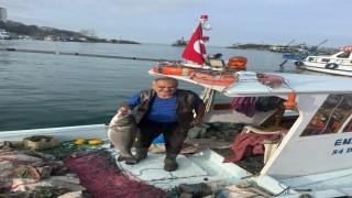 Akçakocada balıkçı ağına 10 kiloluk levrek takıldı