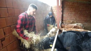 Almanyadan köyüne döndü, çobanlık yapmaya başladı