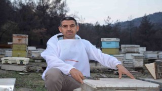 Ana arı üretiminde büyük başarı: Bir arı kovanıyla hobi olarak başladı, şimdi Türkiyenin her yerine koloni gönderiyor