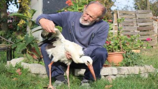 Annesinin yuvadan attığı leyleğe, mahalleli anne ve baba oldu