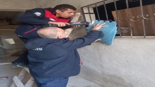 Antakyada kedi kurtarma operasyonu