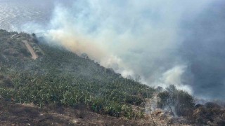 Antalyada muz bahçesinde yangın