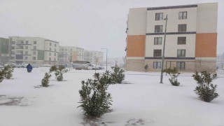 Araban Ovasına kar yağışı çiftçilerin yüzlerini güldürdü