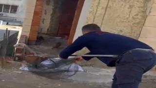 Asansör boşluğunda mahsur kalan kedi için itfaiye seferber oldu